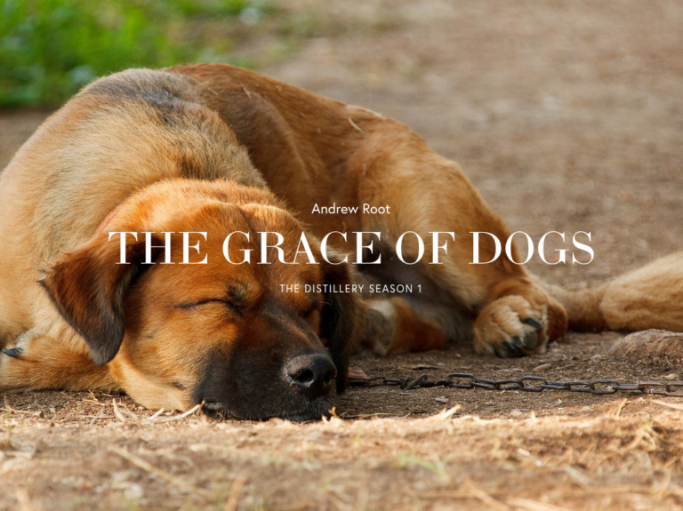 PODCAST ON THE DISTILLERY